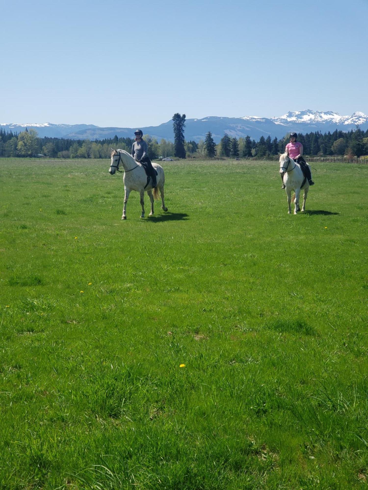 Paradise Acres Ranch Nanoose Bay Zewnętrze zdjęcie