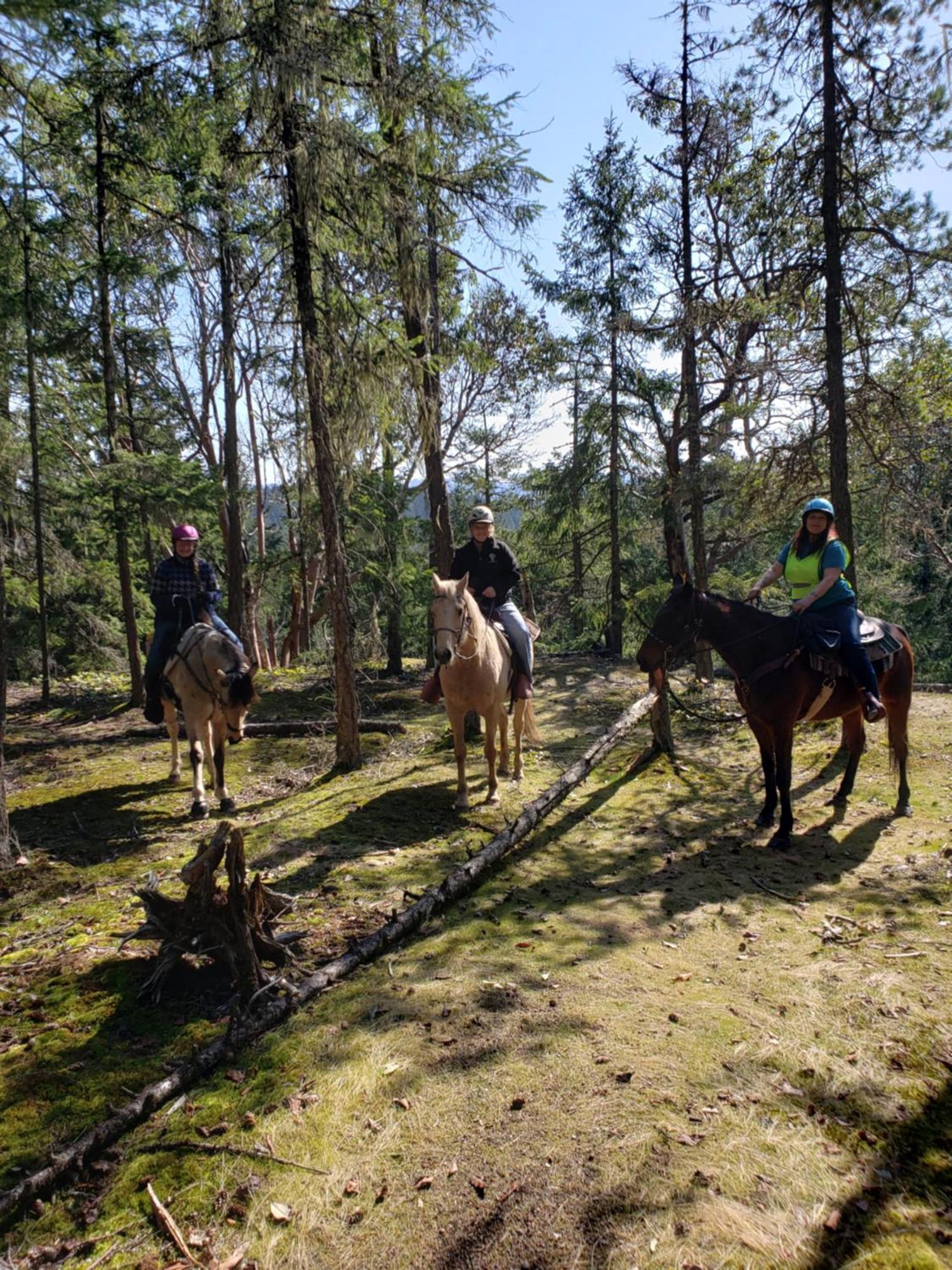 Paradise Acres Ranch Nanoose Bay Zewnętrze zdjęcie