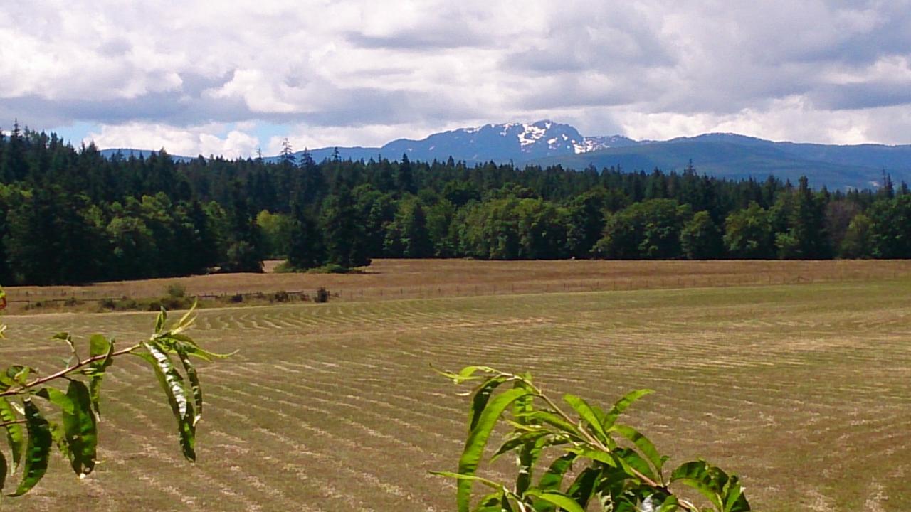 Paradise Acres Ranch Nanoose Bay Zewnętrze zdjęcie