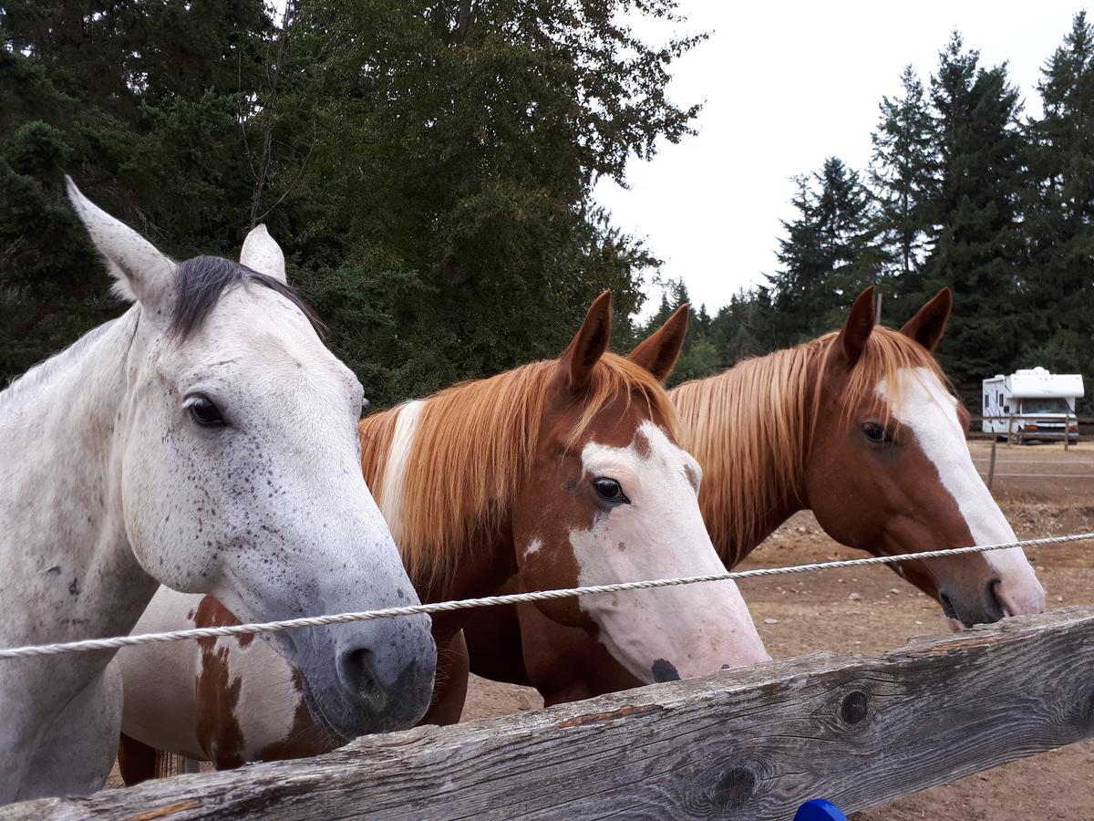Paradise Acres Ranch Nanoose Bay Zewnętrze zdjęcie