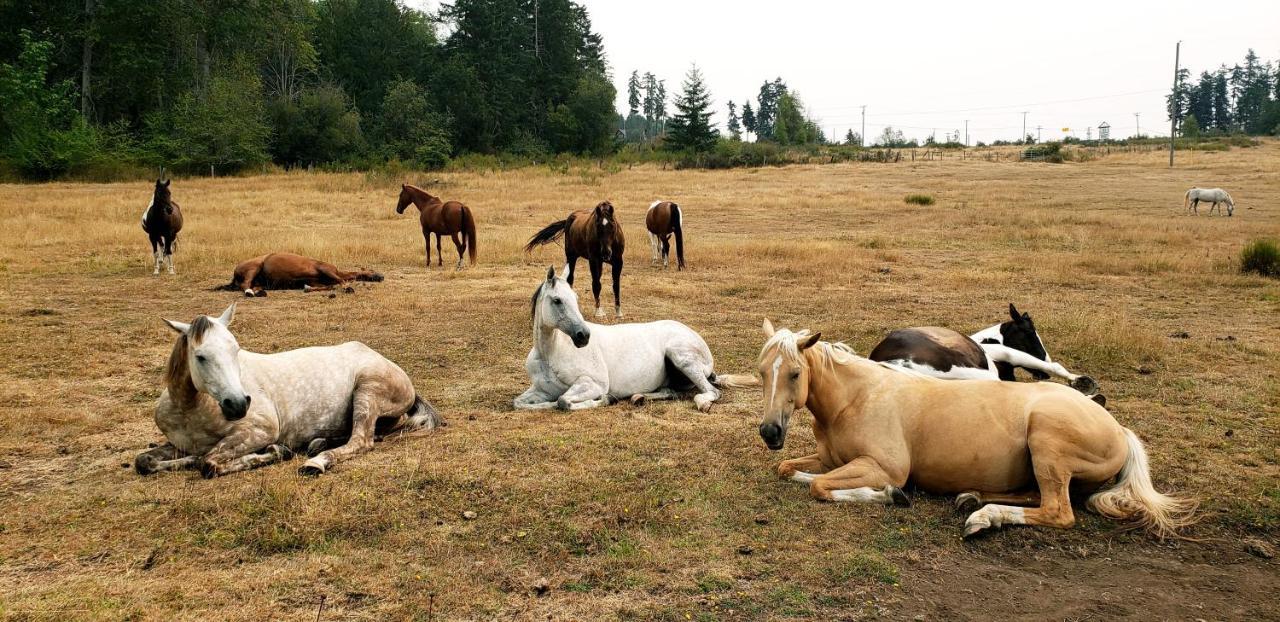 Paradise Acres Ranch Nanoose Bay Zewnętrze zdjęcie