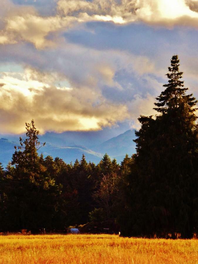 Paradise Acres Ranch Nanoose Bay Zewnętrze zdjęcie